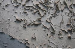 Walls Plaster